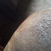 evansapril14